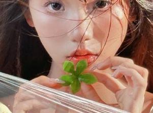 网页里藏着多少八卦？998.su一看就知道！