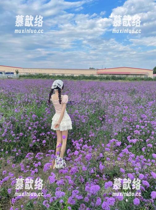 黑料91的网站更新频率有点惊人啊，大家都跟得上吗？
