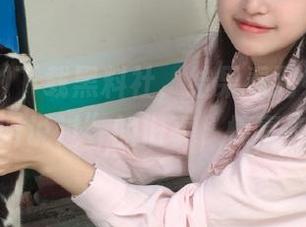 下载黑料社，结果看到好多都是“我听说过”的旧事，惊喜在哪？