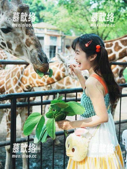 你的吃瓜旅程，当然从“黑料社官网”下载开始，谁能拒绝这些精彩呢？