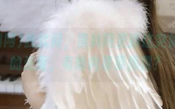 我就问，黑料网更新这突如其来的速度，有啥内幕要揭露？